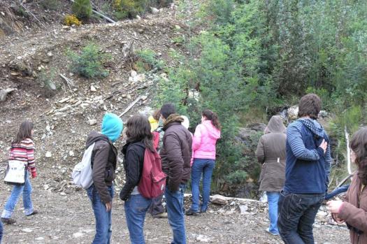 Aprendendo com as coisas menos belas