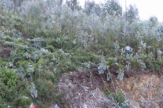 Trabalhos em curso junto ao vale 4a