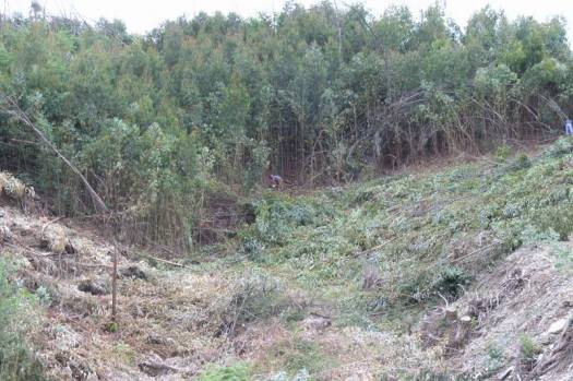 Trabalhos em curso no vale 5