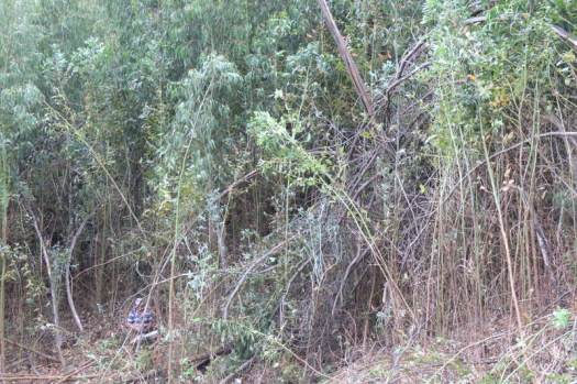 Detalhe dos trabalhos e das condições do espaço
