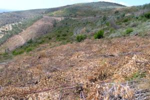 Perspectiva dos trabalhos realizados entre os vales 4a e 4b