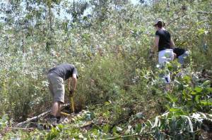 Enfrentando o invasor!