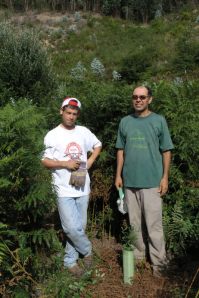 Junto a um carvalho plantado pelos alunos de S. Pedro do Sul