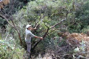 Aderno em posição dificil