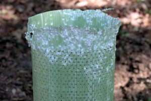 Tubo tratado à dentada (?!)