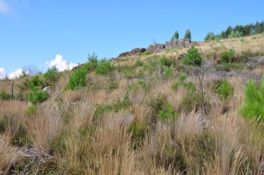 Melhor do que as anteriores!