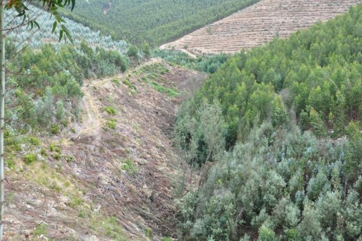 Trabalho realizado apenas na margem direita