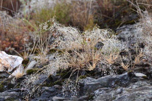 O dia 18 de Setembro teve alguma chuva
