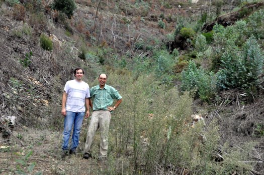 Voluntários com vale nº 6 em fundo