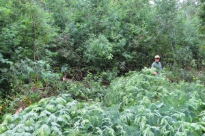 [1] - [8] Retrospectiva Junho de 2009