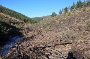 [10] Perspectiva 2 à chegada