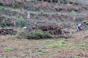 [11] - Pelo final da manhã...