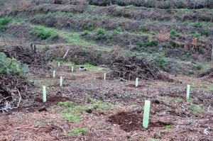 [15] Trabalho realizado