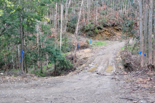 Na ponte de Belazaima-a-Velha...