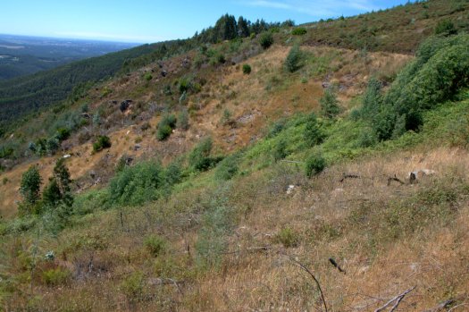 Cabeceira do vale nº 5