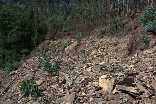 Mobilização de solo muito agressiva: é assim que queremos a nossa paisagem?