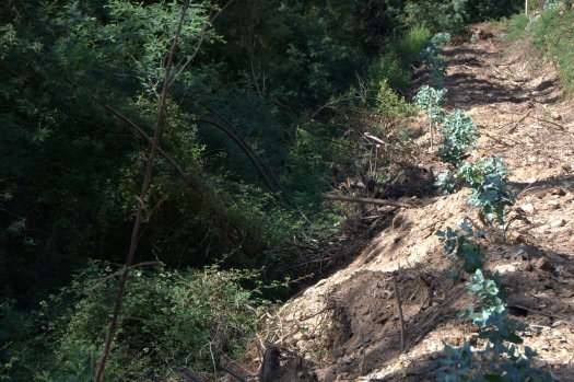 Margem espoliada: é assim que queremos a nossa paisagem?