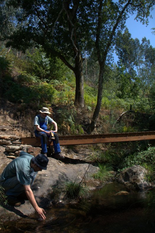 Voluntários em observação