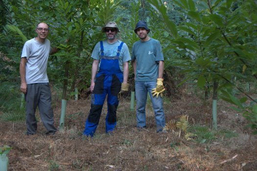 No fim de mais uma jornada, desta vez uma singular jornada de aniversário