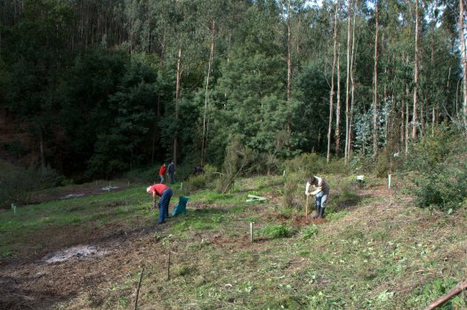 Voluntários dando início aos trabalhos