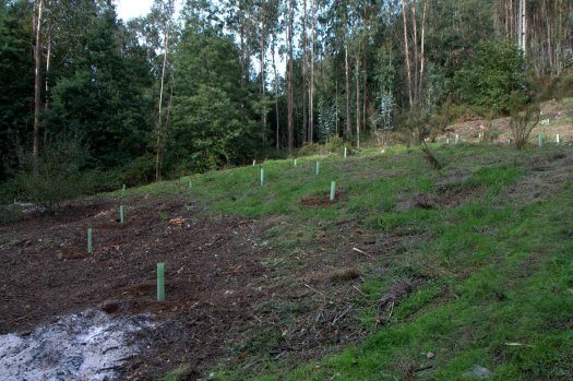 Pela hora do almoço os trabalhos estavam avançados