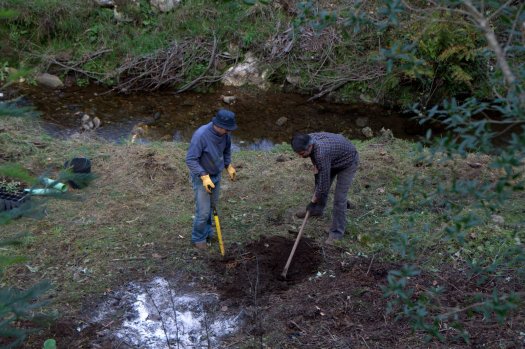 Com o ribeiro em fundo