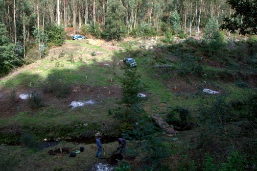 Vista da encosta sul