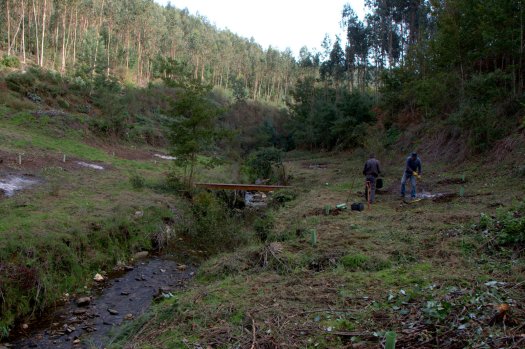 O ribeiro de Belazaima