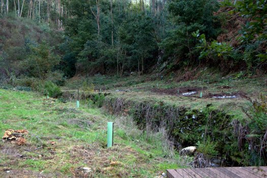 Trabalhos concluídos