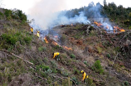 Queimada realizada em Março de 2011
