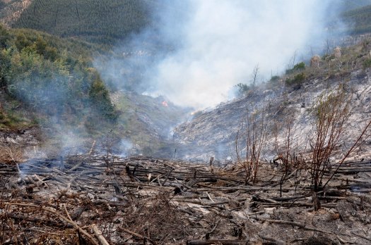 Perspectiva desta área do vale, após a queimada de 2011