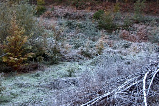 A cor branca da geada dominava o vale