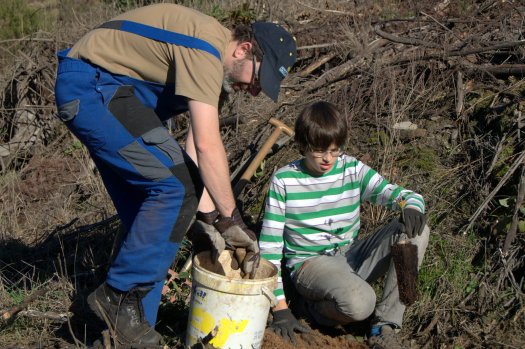 Equipa de plantação em acção