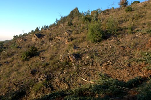 Vertente norte do vale, de carácter rochoso