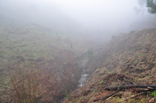 Vale nº 5, à chegada