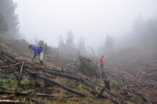 Os trabalhos começaram, sem hesitação