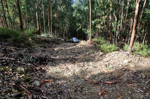 Foi necessário transportar os materiais por esta encosta
