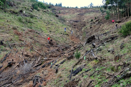 Pelo final da manhã, já a neblina tinha levantado