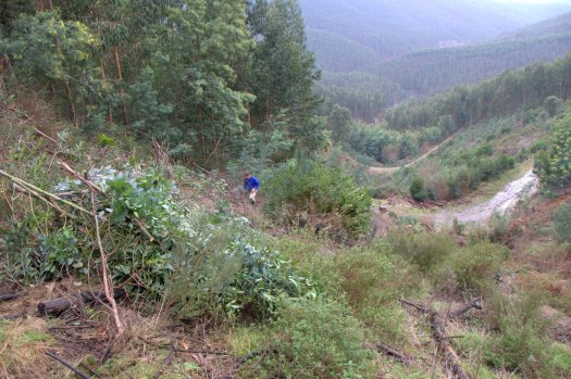 Perspectiva do vale e dos caminhos que o atravessam