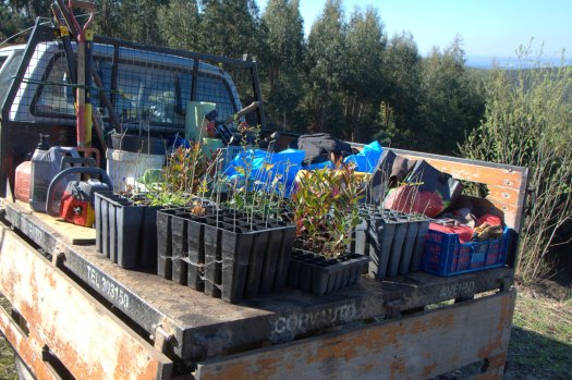 Carga de plantas e equipamento, ao chegar ao terreno
