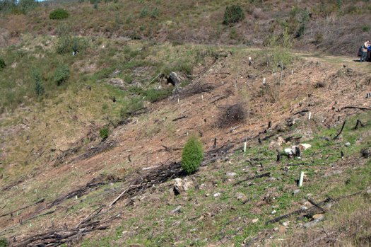 Trabalhos na (quase) cabeceira do vale nº 5