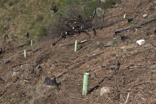 Detalhe dos trabalhos realizados