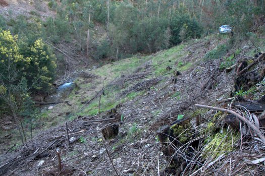 Perspectiva da parcela trabalhada neste dia