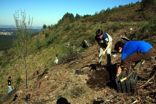 Mais voluntários em acção