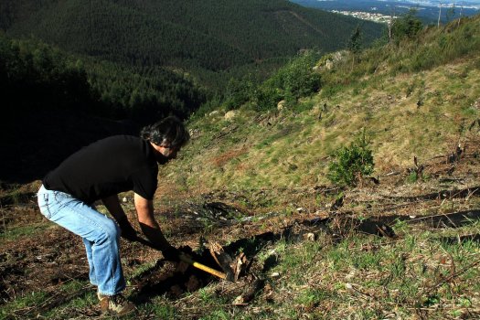 Mais voluntários em acção