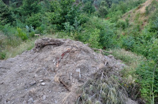 Detalhe "paisagístico"