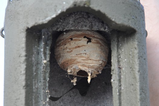 Ocupante desconhecido dexou obra-de-arte