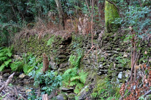 Antigos muros em pedra, nas margens do ribeiro