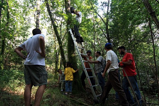 Instalando um novo ninho