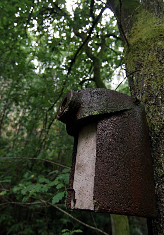 Um ninho com entrada de segurança!